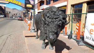 Buffalo