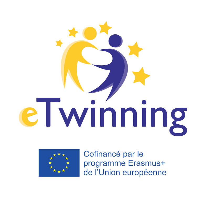 Prix européen eTwinning pour le Lycée Saint-Cricq !